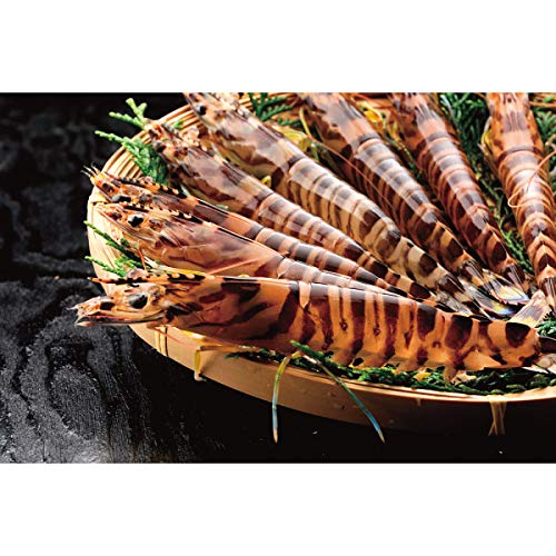 y2025 Εz ^ԊCV (Ε̂)