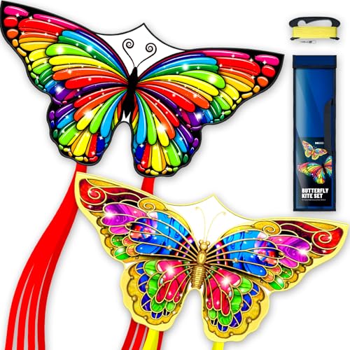 DoinFly Butterflys for Kids, Beautiful Kite Easy to Fly for Beginners with 328 ft Line & Line Winder, Easy to Fly for Beach Trip and Outdoor Activities (Butterfly Kite Set 2)