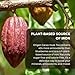 Origen Cacao Husk Tea – 100% Natural Cacao Shell – Zero Sugar, Caffeine-Free Superfood – Healthy Chocolate Tea Alternative to Coffee – Rich in Antioxidants & Iron (2.5 lb)