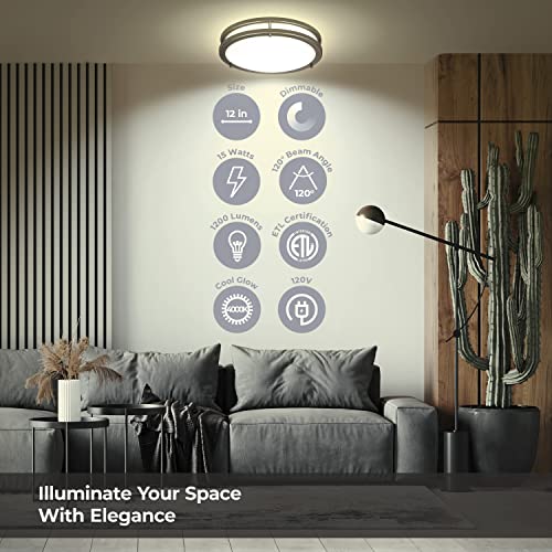 Lb72121 Led Flush Mount Ceiling Light, 12 Inch, 15W (150W Equivalent) Dimmable 1200Lm, 4000K Cool White, Oil Rubbed Bronze Round Lighting Fixture For Kitchen, Hallway, Bathroom, Stairwell #TOP1