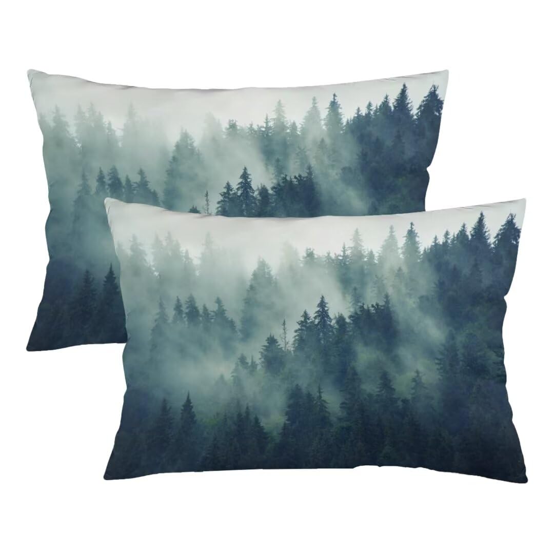 Foggy Forest Throw Pillow Cover Queen Size Set of 2,Green Fog Misty Fir Hipster Vintage Nature Parks Pine Mist Wood Cloud Tree,Lumbar Pillow Case Bed Pillow Covers with Zipper Standard Size,20"x30"