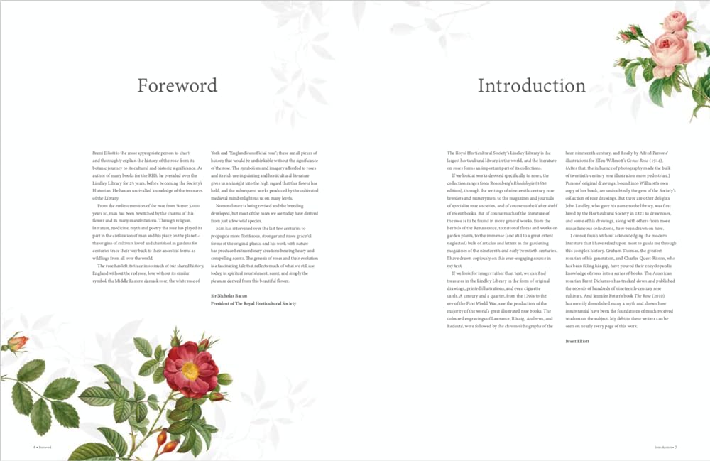 RHS The Rose: The history of the world's favourite flower in 40 roses
