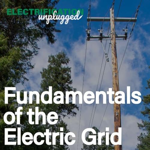 Fundamentals of the Electric Grid