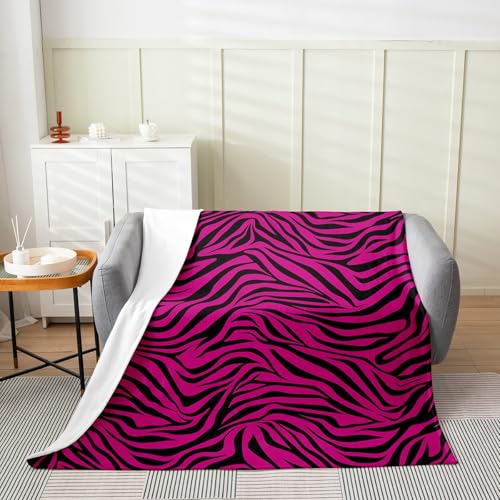 Best Zebra Bedding with Pink Trim in 2026: Our 7 Favorites