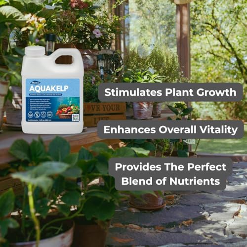 Fertilizante líquido de algas para plantas 16 fl oz miniatura 7