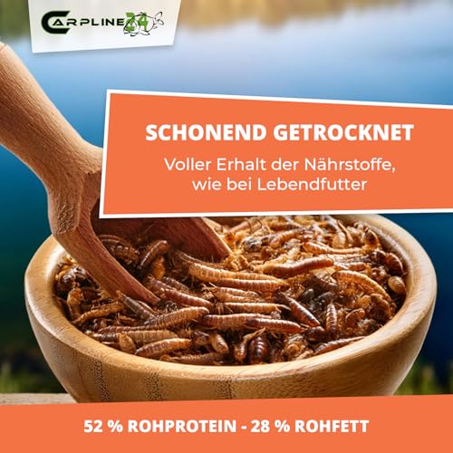 Carpline24 Getrocknete Mehlwürmer 250 ml - Proteinreiche Insekten als Futter für Reptilien, Nager, Igel & Fische, Vogelfutter, Winterfutter