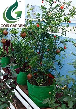COIR GARDEN Terrace Gardening HDPE Grow Bags (Bigger Sizes, 24x24 inches) - Pack of 2 3