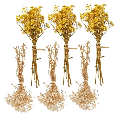 Ramo de 6 flores secas Babys Breath decorativas