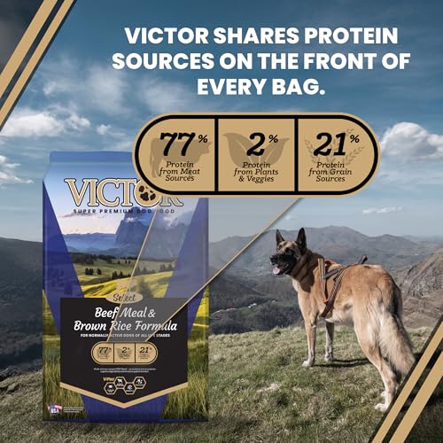 Image of VICTOR Super Premium Dog Food - Select Beef Meal & Brown Rice Formula for Immune and Gut Health - Gluten-Free Beef Meal Dry Dog Food for All Normally Active Dogs of All Life Stages, 5 lbs