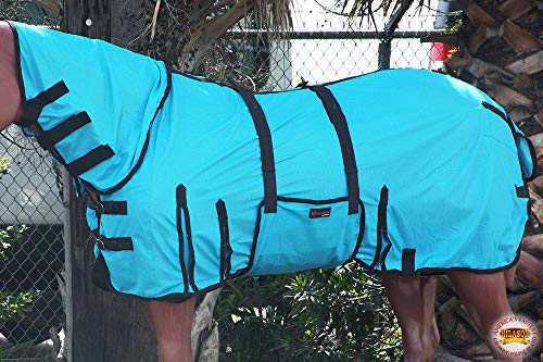 image for HILASON Horse Fly Sheet - Summer Spring UV Protection Mesh Bug Mosquit