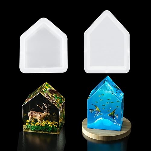 FineInno 2 moldes de resina epoxi para casa, moldes de silicona grandes para preservación de flores, hojas secas, espécimen de insectos, decoración