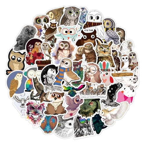 Bubaxuce Paquete De 100 Pegatinas De Búho De Dibujos Animados para Adultos Y Adolescentes, Lindo Adhesivo Kawaii De Vinilo Resistente Al Agua para Botellas, Bicicletas, P