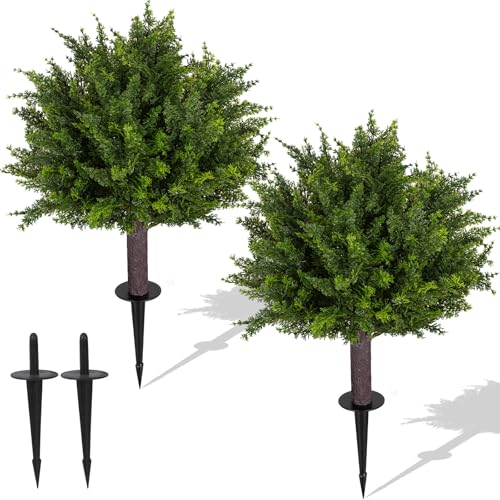 24.5 Inch Set of 2 Topiary Cedar Trees  - image 1