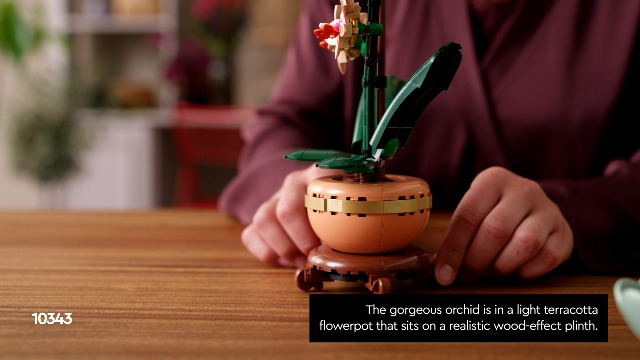 LEGO Botanicals Mini Orchid 10343 : Amazon.co.za: Home & Kitchen