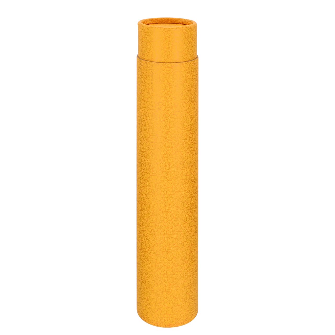 FOMIYES Tube Cylindrique Télescopique 13.78 Pouces Étanche Rangement pour Affiches Plans Documents Protection Lumière
