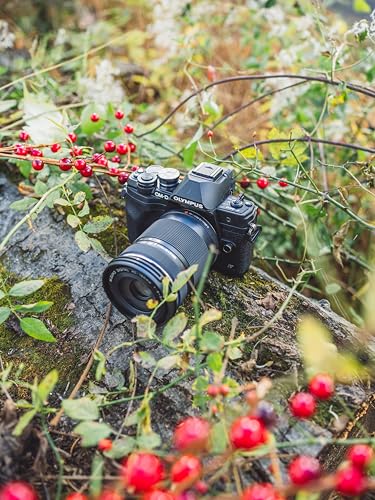 Image of Bundle of OM SYSTEM Olympus E-M10 Mark IV Black Micro Four Thirds System Camera 20MP Sensor 5-Axis Image Stabilization 4K Video Wi-Fi + M.Zuiko Digital 40-150mm F4.0-5.6 R Black, 3.75x Zoom Lens