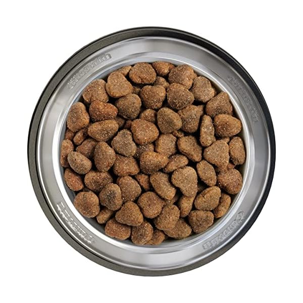 BELCANDO Hundefutter Adult GF Poultry 2X 12,5kg, Getreidefreies Trockenfutter für Hunde mit Futterunverträglichkeiten gegen Gluten – Bild 4