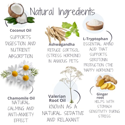 Beruhigendes Kokosöl für Hunde, 100ml Pumpflasche, Natürliche Hilfe bei Angst & Stress, mit L-Tryptophan, Baldrian & Ashwagandha