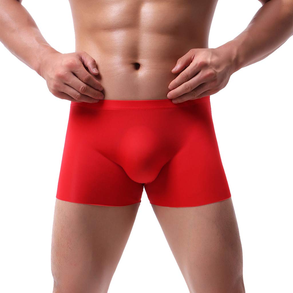 SunaeiMen's Solid Panties Sexy Ice Silk Breathable Boxer Briefs Thin Comfy Soft Underwear Stretch Lightweight Underpants