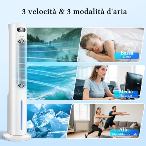 Raffrescatore d'Aria 3 in 1 Taylor Swoden