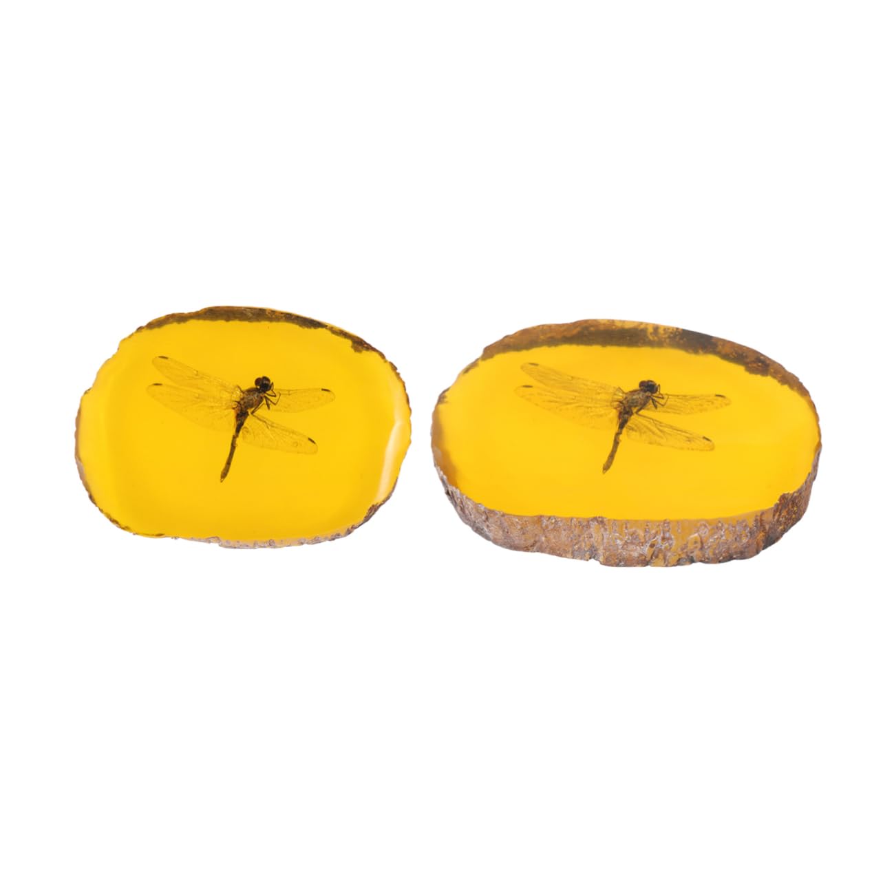 GLEAVI 1 Pc Ciondolo fossile di Pietra di Pendente Esemplare di Ambra di Pietre fossile di di Ornamento in Pietra ambrata nellambra Domestico Accessori Geco Esemplare di Farfalla Campione