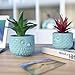 Nattol Owl Succulent Planter, Turquoise Animal Ceramic Planter Pots with Drainage, Set of 2