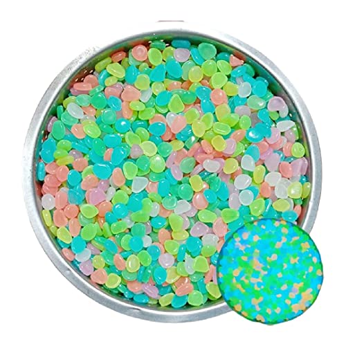 Plus Nao(vXiI)   200 ANAEpi  ~   Mы  ԕr Jt Xg[    - ~bNX