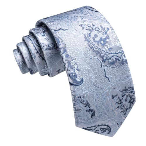 Image of Barry.Wang Paisley Tie for Men Silk Woven Necktie and Tie Clip Set Wedding Party Business Formal