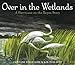 Over in the Wetlands: A Hurricane-on-the-Bayou Story