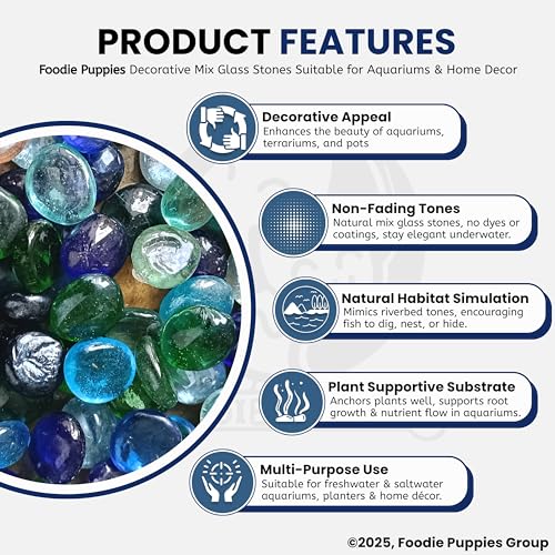 Image of Foodie Puppies Flat Glass Clear Stone for Aquariums, Fireplace, Firepit Glass for Indoor and Outdoor, Vase Filler, Hydroponics Plants, Home Decor and DIY Craft (800gm, Mix) (Glass Stone)
