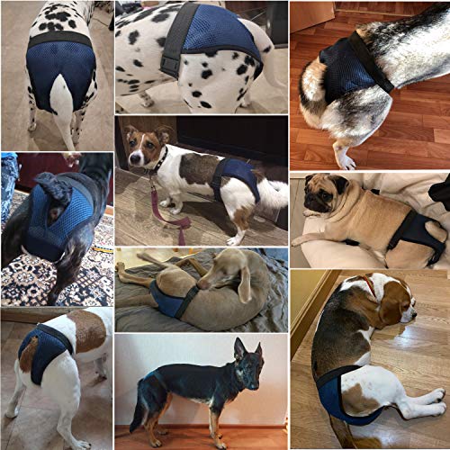 LeerKing 2er Pack Mesh Läufigkeitshose für Hündinnen waschbar Läufigkeitshöschen mit 6 Einlagen weibliche Hunde Läufigkeitshosen Hundewindeln Schwarz 2XL
