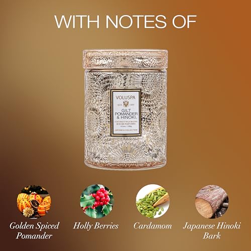 Image of Voluspa Gilt Pomander Hinoki, Small Candle Jar, 5.5 Ounces, 50 Hour Burn Time, Coconut Wax for Clean Burning, Handcrafted in the USA