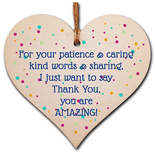 The Plum Penguin Handmade Wooden Hanging Heart Plaque Gift Thank You Amazing Friendship Teacher Colleague Present Card Alternative