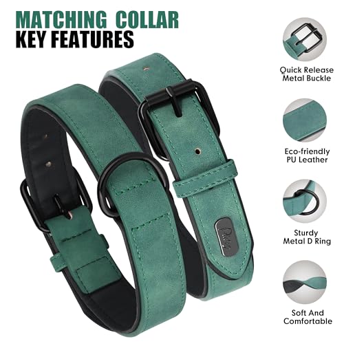Image of Didog PU Leather Dog Collar and Leash Set, Soft Padded, Green, Neck 18-22 inch