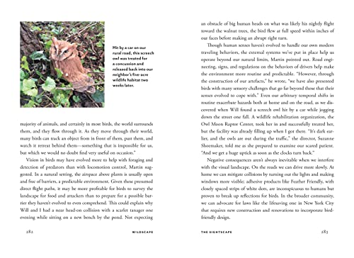 Wildscape: Trilling Chipmunks, Beckoning Blooms, Salty Butterflies, and other Sensory Wonders of Nature (-) - Image 15