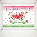 MEHOFOTO Watermelon Themed Girl First Birthday Photo Studio Background Pink Princess 1st One in a Melon Birthday Summer Fruit Party Decorations Banner Photography Backdrops for Dessert Table 7x5ft