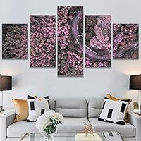 SIGNWIN 5 Panel Canvas Wall Art Modern Art Aerial Expressive Global Landscape Mountain Multicolor Photography for Home Decorations Ready to Hang - 60