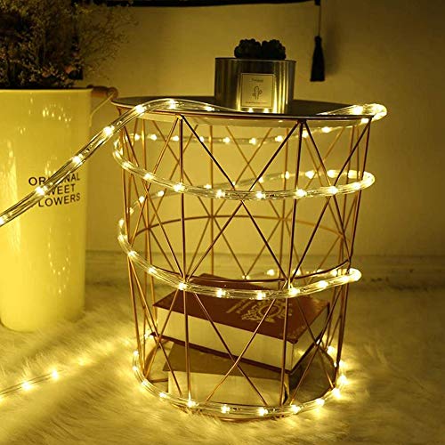 Solar Rope Light 33FT 100L Waterproof Outdoor String Tube Light for Party Garden Yard Home Decreation (Warm White 33FT 100L)