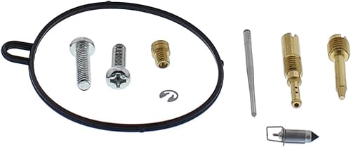 All Balls Racing Kit de carburador, Completo 26-1564 Compatible conReemplazo Para Yamaha YFM90 Raptor 2016-2018