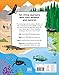 My Very Important Lift-the-Flap Book: Animals