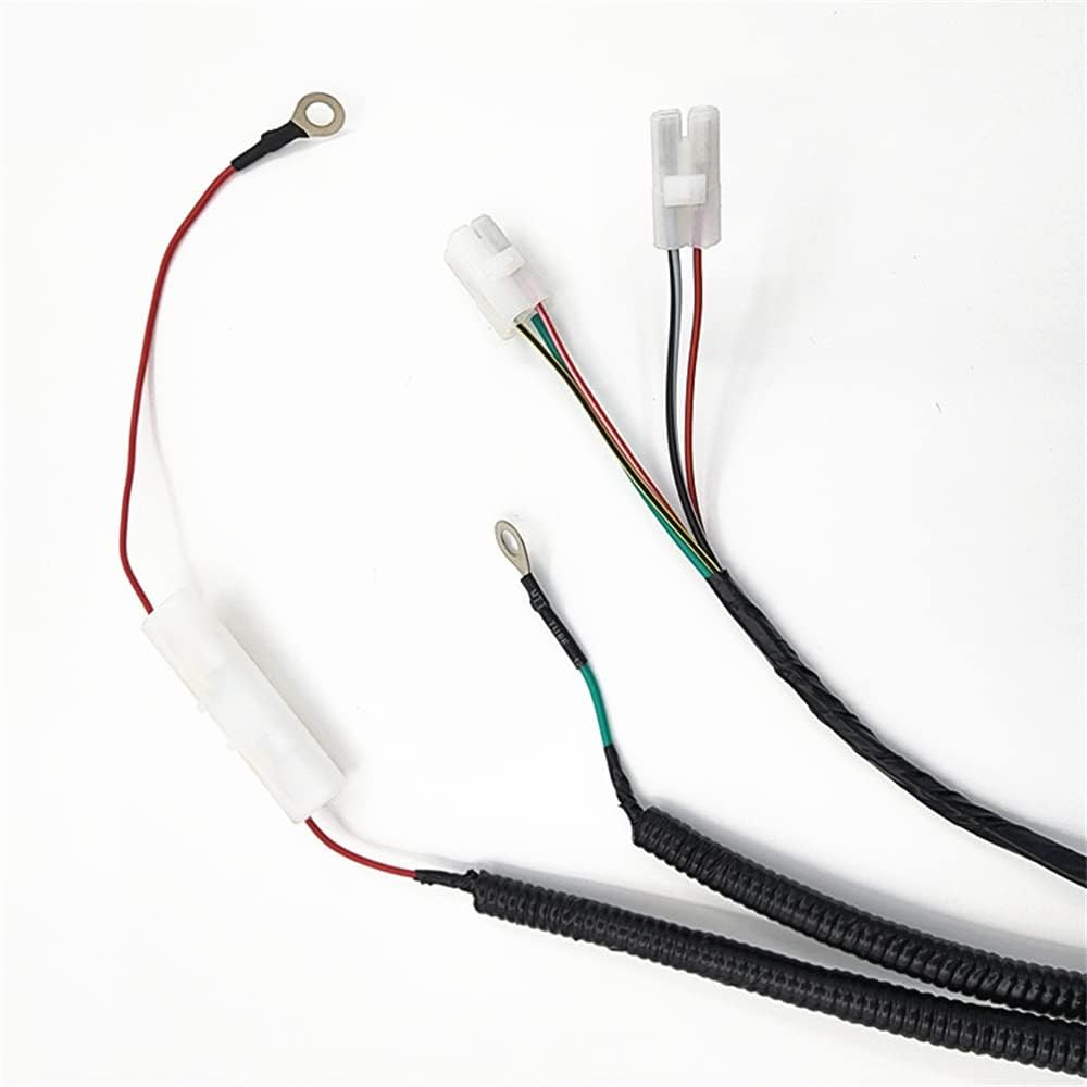 ATV Utv Complete Main Wiring Harness for Gy6 Taotao 139qmb Chinese Scooter 50cc