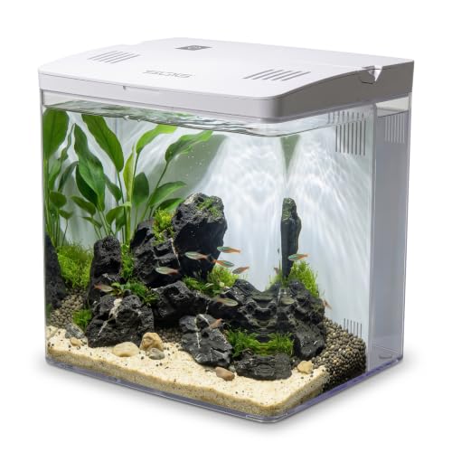 Image of 4.5L Fish Tank Starter Kit for Betta Fish, Acrylic Aquarium with LED Light & Built-in Rear Filter, Small Desktop Fish Tank for Shrimp & Small Aquatic Creatures(White, 20cmx14cmx20cm)