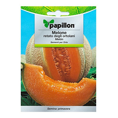 Semillas Melon Cantalupo (3 Gramos): Amazon.es: Bricolaje y ...