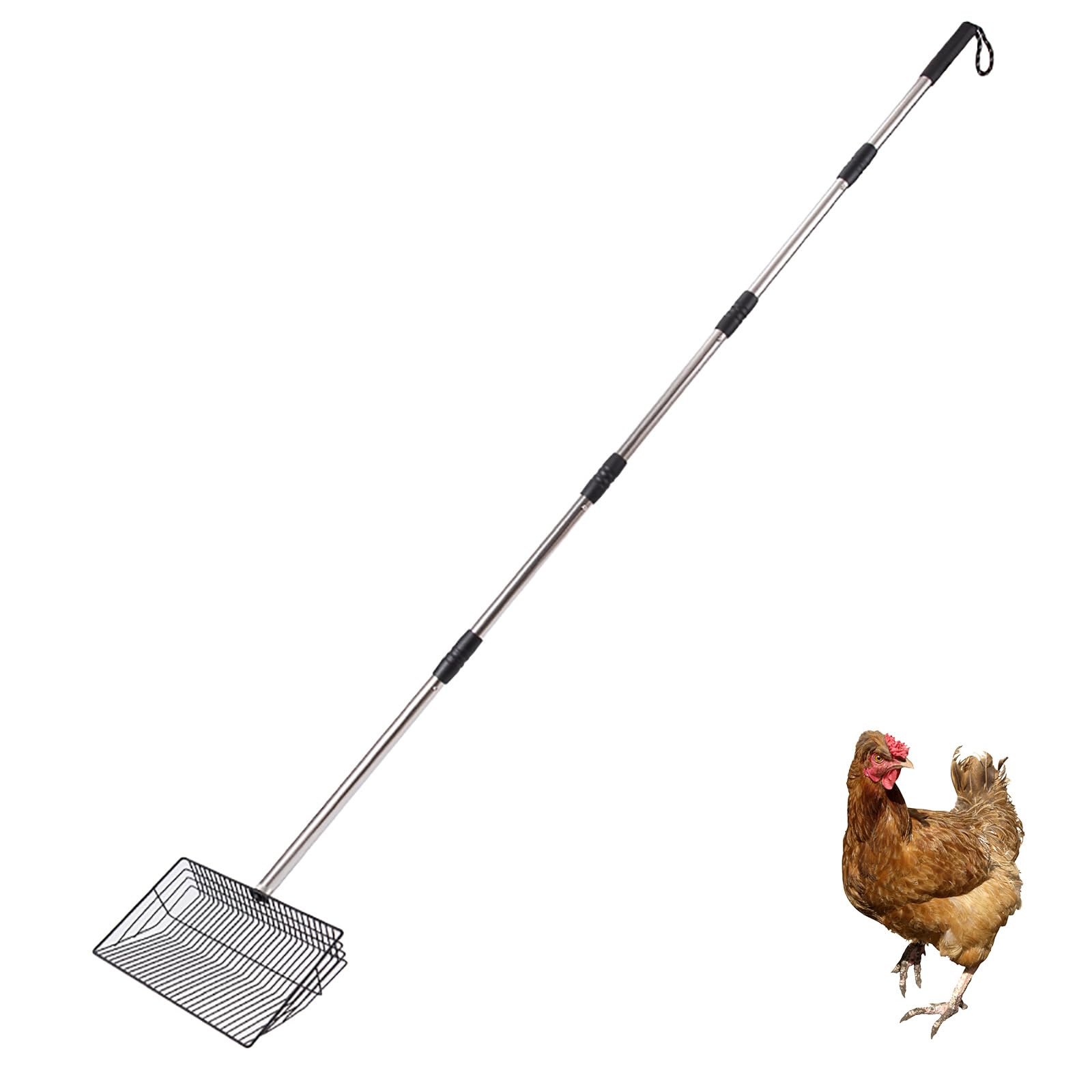 Pelle à déjections de poulet en acier inoxydable longue poignée
