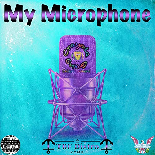 Best Microphone Brands Expert Review The Modern Record