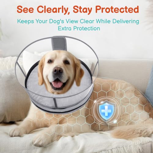Image of Dog Cone, No-Inflation Sponge Donut Collar for Dogs After Surgery