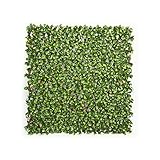 jarolift Künstliche Pflanzenwand Sichtschutz Wandbegrünung Balkon Gartenzaun, auch für Innenwände geeignet, mit Spalier, Gardenienblätter, 200 x 100 cm