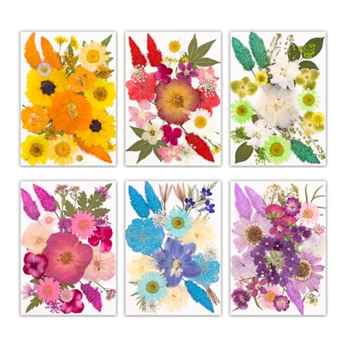 Flor natural seca prensada para resin artesanía miniatura 4