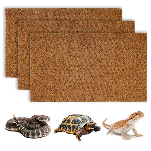 Find The Best Grass For Leopard Tortoise Reviews & Comparison Katynel