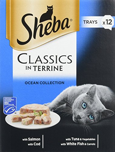 Sheba Classics in Terrine Vassoi di patè umidi per...